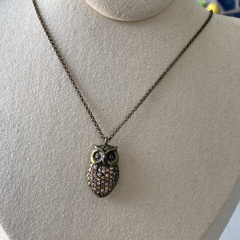 Fossil Crystal Enchanted Owl Necklace NWT